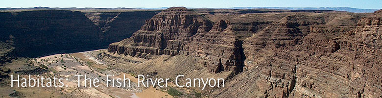 Habitats: The Fish-River-Canyon